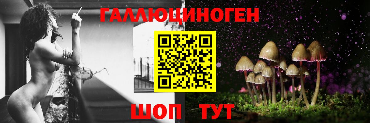 Спасск-Дальний  Галлюциногенные грибы Psilocybine cubensis  Псилоцибиновые грибы Cubensis  Вход с VPN 